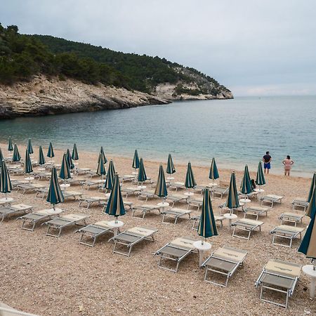 La Finestra Sul Mare - Antonella Apartment Vieste Dış mekan fotoğraf