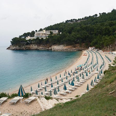 La Finestra Sul Mare - Antonella Apartment Vieste Dış mekan fotoğraf